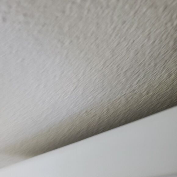 Cesars Way The Natural, Everyday Guide To Dog Cesar Millan & Melisa Jo Peltier - Picture 7 of 14